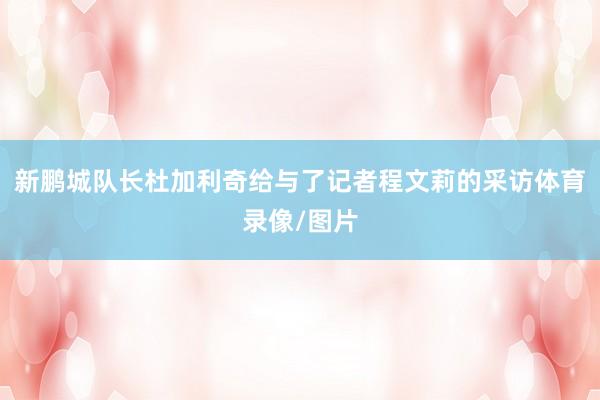 新鹏城队长杜加利奇给与了记者程文莉的采访体育录像/图片