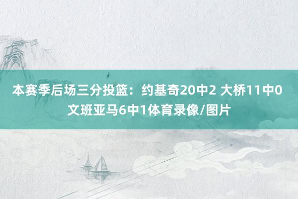 本赛季后场三分投篮：约基奇20中2 大桥11中0 文班亚马6中1体育录像/图片