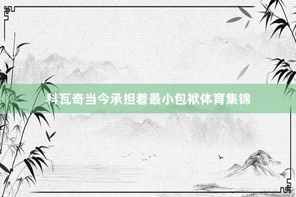 科瓦奇当今承担着最小包袱体育集锦