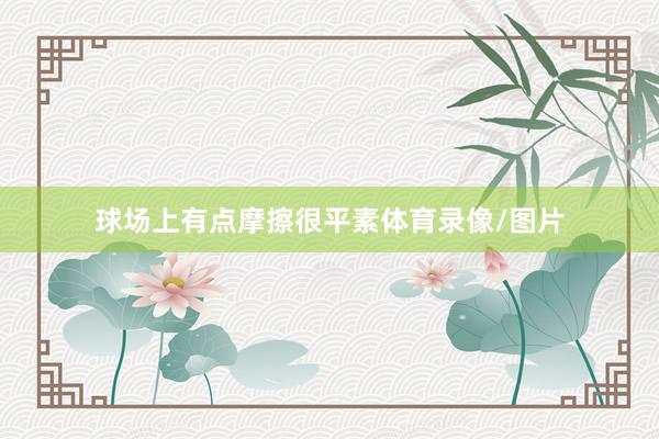 球场上有点摩擦很平素体育录像/图片