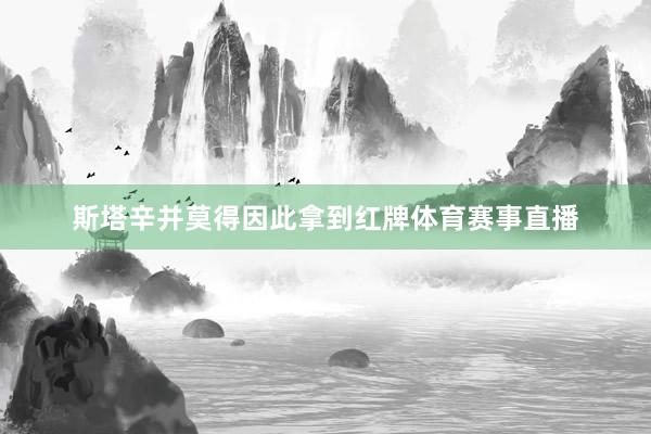 斯塔辛并莫得因此拿到红牌体育赛事直播