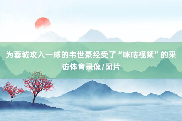 为蓉城攻入一球的韦世豪经受了“咪咕视频”的采访体育录像/图片