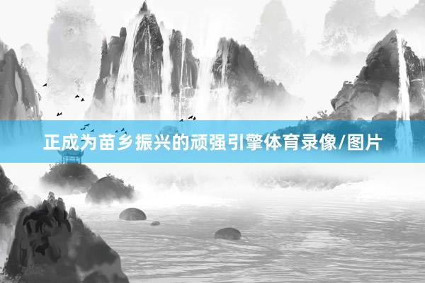 正成为苗乡振兴的顽强引擎体育录像/图片