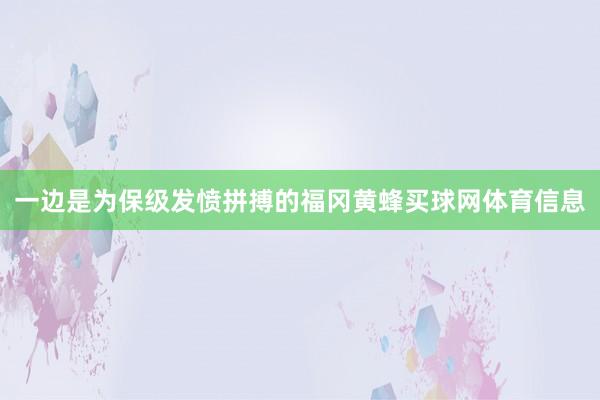 一边是为保级发愤拼搏的福冈黄蜂买球网体育信息