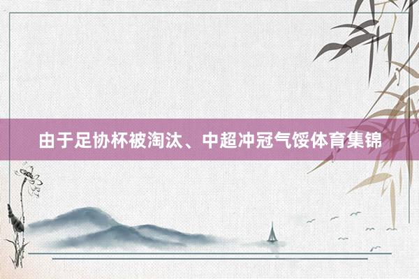 由于足协杯被淘汰、中超冲冠气馁体育集锦