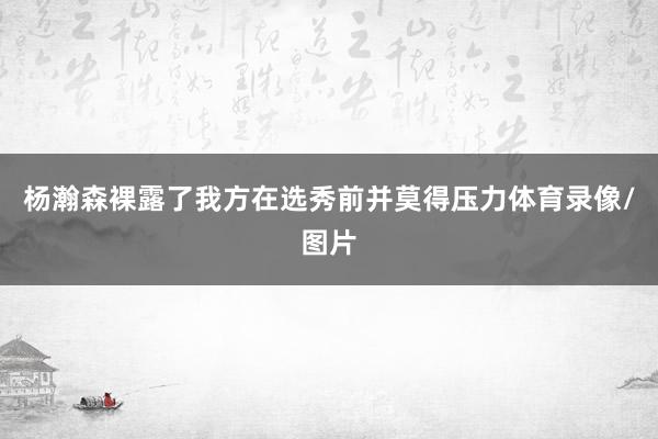 杨瀚森裸露了我方在选秀前并莫得压力体育录像/图片