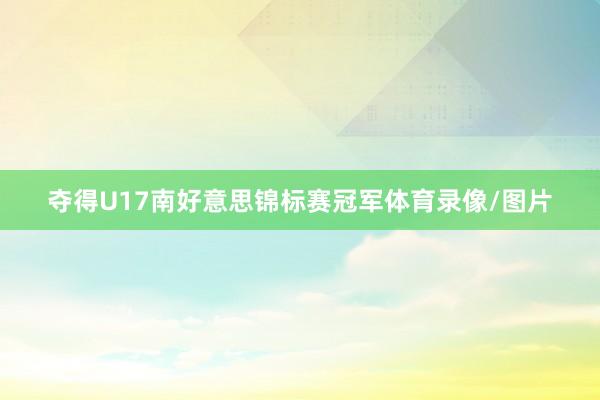 夺得U17南好意思锦标赛冠军体育录像/图片