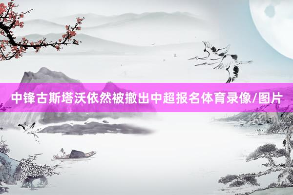 中锋古斯塔沃依然被撤出中超报名体育录像/图片