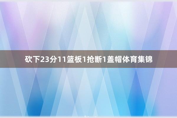 砍下23分11篮板1抢断1盖帽体育集锦