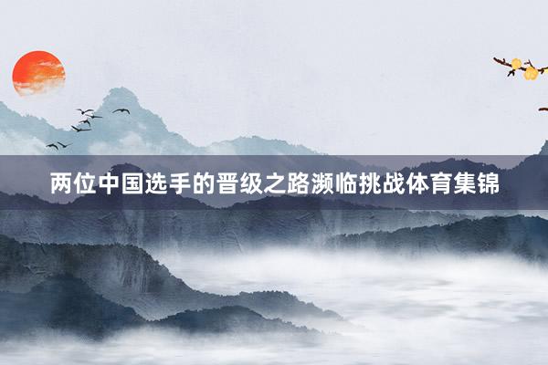 两位中国选手的晋级之路濒临挑战体育集锦