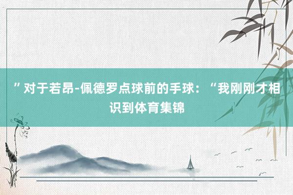 ”对于若昂-佩德罗点球前的手球：“我刚刚才相识到体育集锦