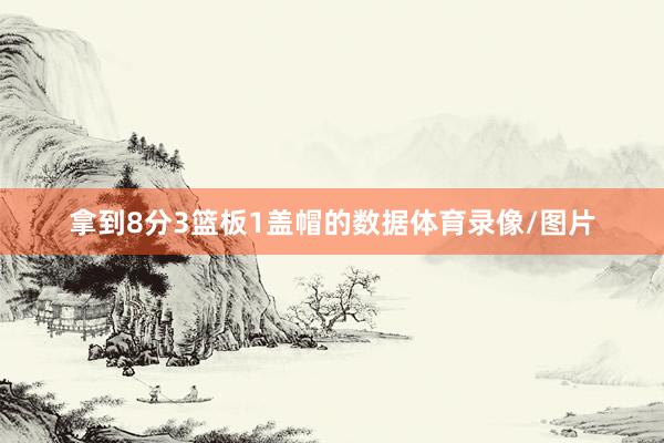 拿到8分3篮板1盖帽的数据体育录像/图片