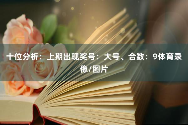 十位分析：上期出现奖号：大号、合数：9体育录像/图片