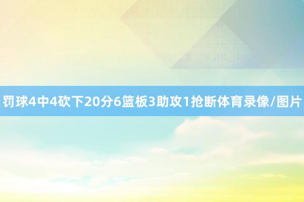 罚球4中4砍下20分6篮板3助攻1抢断体育录像/图片