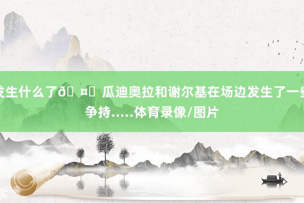 发生什么了🤔瓜迪奥拉和谢尔基在场边发生了一些争持.....体育录像/图片