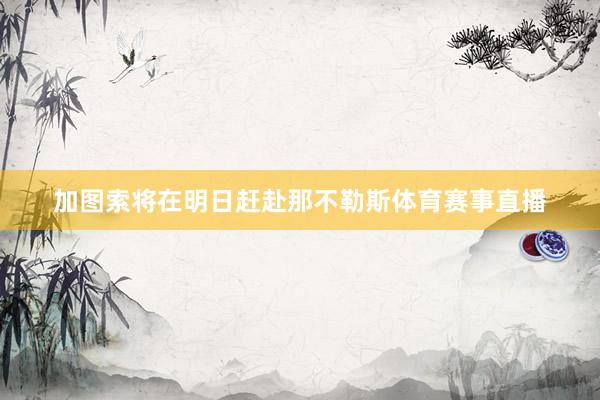 加图索将在明日赶赴那不勒斯体育赛事直播