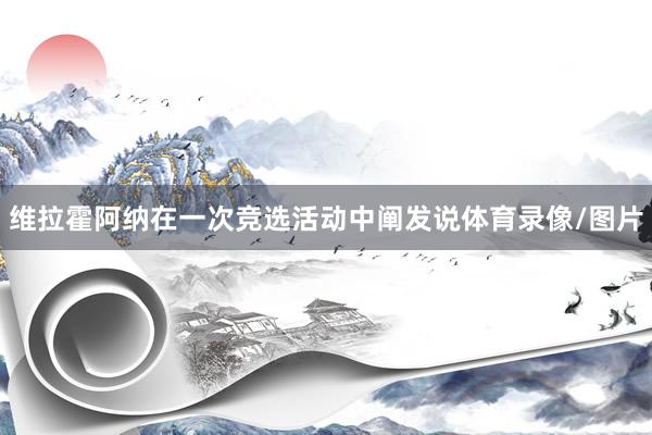 维拉霍阿纳在一次竞选活动中阐发说体育录像/图片