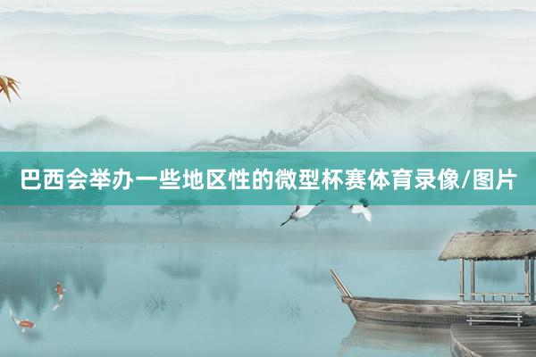 巴西会举办一些地区性的微型杯赛体育录像/图片