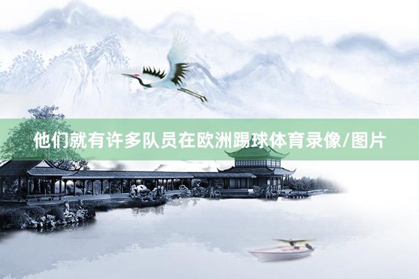 他们就有许多队员在欧洲踢球体育录像/图片